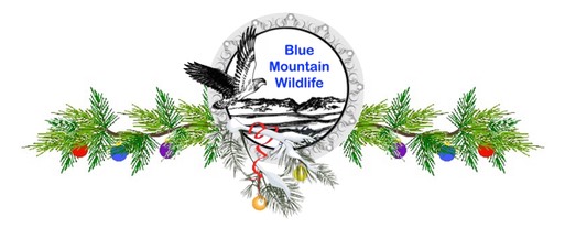 Christmas Banner logo