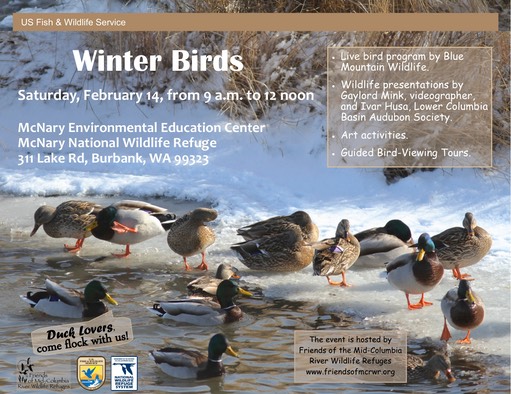 Winter Birds 2015 flyer